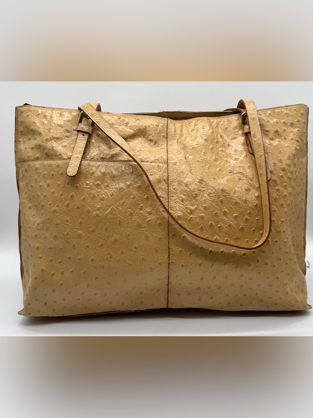 HOBO International Angelica Ostrich Embossed Leather Tote